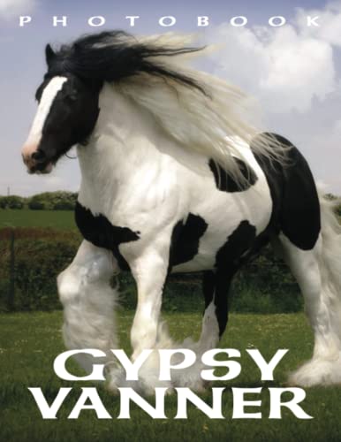 Picture Book Of Gypsy Vanner: Compelling Photos Of Gypsy Vanner Collection As A Perfect Gift Idea For Family Relatives Friends Lover All Age