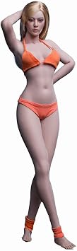 1/6 Scale Female Body,12inch Super Flexible Narrow Shoulders Medium Bust Female Seamless Action Figure Body Collection S32A Pale Skin