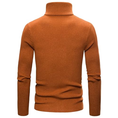 Men Turtleneck Sweater Slim Fit Long Sleeve Knitted Pullovers Men Solid Casual Pullover Sweater2