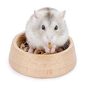 Niteangel Wooden Hamster Feeding Bowl – Small Animal Food Dish for Dwarf Syrian Hamsters Gerbils Mice Degus or Other Similar-Sized Small Pets (Hammy Pattern, for Dwarf)