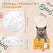 Antischlingnapf Katze, Cat Bowl 2 Stück Anti Schling Napf Katze aus Melamin, Slow Feeder, rutschfest Durable and Shatterproof für Katzen und kleine Hunde