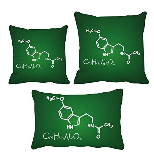 Coussin de décoration DIYthinker : créez un cocon chaleureux chez vous