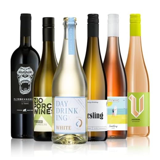 Le Vin Merlot Frankreich IGP Bag-in-box (1 x 3 l) 5 GEILE WEINE Weinpaket FRÜHLING (6 x 0,75l) Probierpaket mit Weißwein, Rosé und Rotwein von Winzern aus Deutschland und Spanien