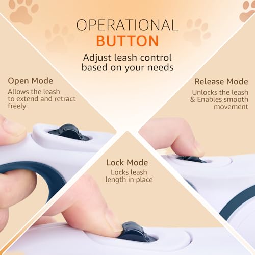 Image of Amazon Basics Retractable Dog Leash | 5 Meter | for Large Dogs Up to 50 Kg | Heavy Duty Leash for Pets | Strong Nylon Tape, Anti-Slip Handle, Built in Spring, One-Click Brake Pause | Grey & Blue