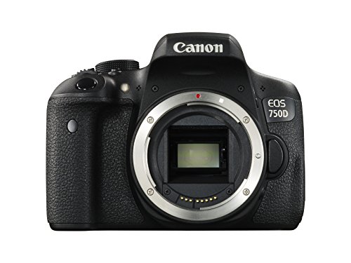 Canon EOS 750D Appareils Photo Numérique 24.7 Mpix