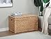 eHemco Heavy-duty Water Hyacinth Wicker Storage Trunk with Metal Frame, 30 by 17.5 by 17.5 Inches, Natural