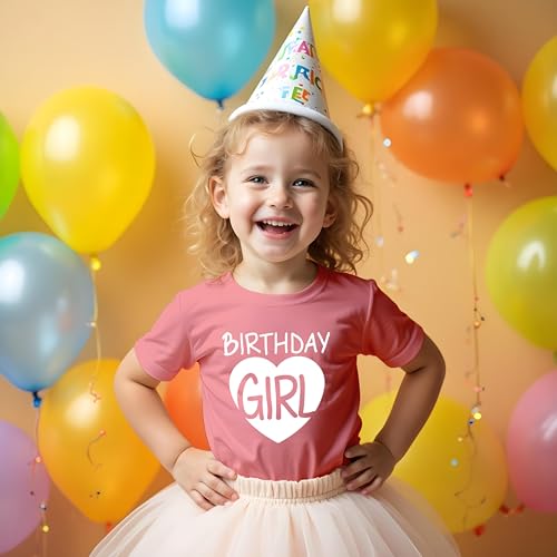 Birthday Girl Shirt Heart Girls Birthday Outfit Toddler Baby 1st 2nd 3rd 4th 5th 6th 7th tee4