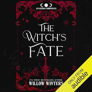 The Witch&rsquo;s Fate cover art