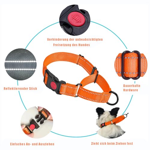 Martingale Hundehalsband, Weiches Reflektierendes Halsband für Mittlere und große Größen (Orange, M)
