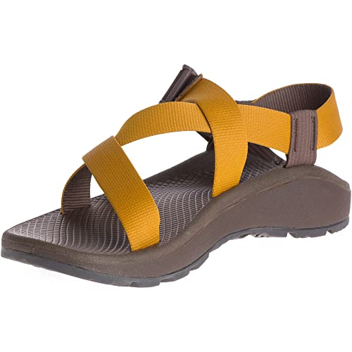 Image of Chaco Men's Z /1 Cloud