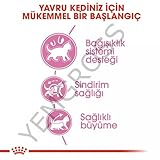 Royal Canin 55102 Kitten 4 kg- Katzenfutter