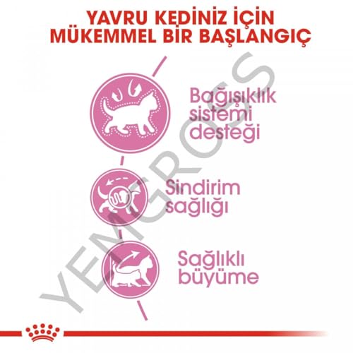 Royal Canin 55102 Kitten 4 kg- Katzenfutter