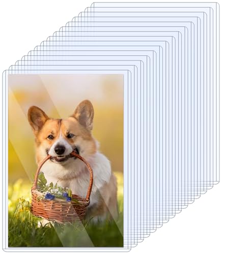 15 Pack Rigid Print Protectors 5 x 7 Clear Photo Protectors Hard Plastic Photo Sleeves Top Loading Card Plastic Sleeves