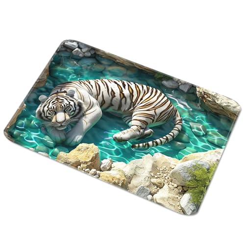 Natural Earth Rug Easy to Cleaning and Nonslip for Living Room Bedroom Home Decoration Quick Drying Mat