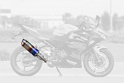 アールズギア ワイバン リアルスペックスリップオンマフラー タイプS チタンドラッグブルー '18~ NINJA400 RK32-03SD