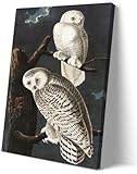 Snowy Owl Wall Art Famous Paintings Posters Retro Bird Poster Framed Artwork For Home Walls Pictures For Living Room Decor Framed 12.00' x 18.00'