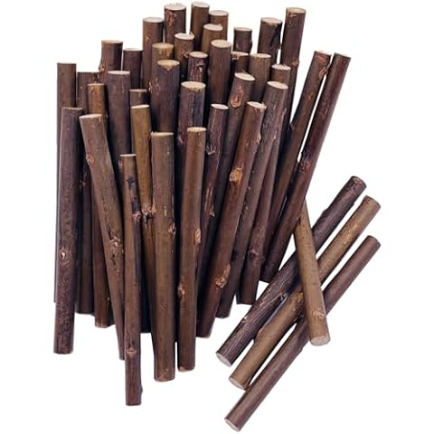 80Pcs 10cm 0.2-0.3 Inch in Diameter Wood Log Sticks for DIY Crafts Photo Props Craft Sticks,Wood Crafts,Sticks inch,Wood Sticks,Wood Craft Sticks,Photo Stick,Photo Props,Wood logs (80) Cover