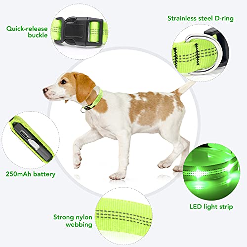 Weesiber Light Up Dog Collars - Rechargeable LED Collar - Reflective Adjustable Dog Lights for Night Walking (Green, Large Collar) — view 3