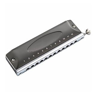 PacuM Harmonica par Instrument Clé Harmonica Instruments de Musique Clé de C 12 Trous 48 Tons Chromatique Instrumentos Musicales Harmonica - Les Beatles, Paul McCartney, John Lennon, RIngo Starr, George Harrison PacuM Harmonica par Instrument Clé Harmonica Instruments de Musique Clé de C 12 Trous 48 Tons Chromatique Instrumentos Musicales Harmonica – Image 3