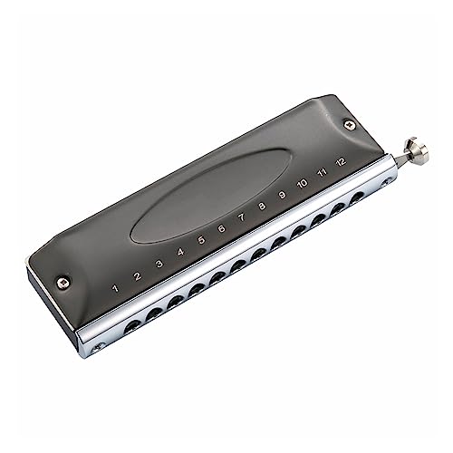 PacuM Harmonica par Instrument Clé Harmonica Instruments de Musique Clé de C 12 Trous 48 Tons Chromatique Instrumentos Musicales Harmonica - Les Beatles, Paul McCartney, John Lennon, RIngo Starr, George Harrison PacuM Harmonica par Instrument Clé Harmonica Instruments de Musique Clé de C 12 Trous 48 Tons Chromatique Instrumentos Musicales Harmonica – Image 4