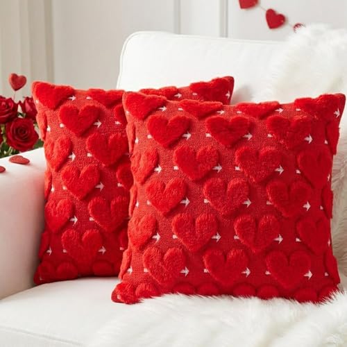 Vermeyen Valentines Pillow Covers 18x18 inch Set of 2 Valentines