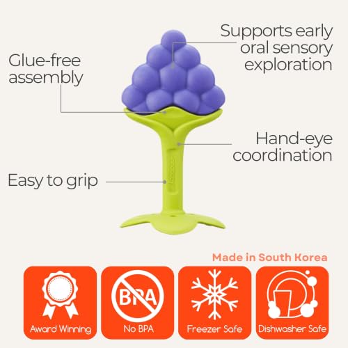Image of Innobaby Original Teethin Smart EZ Grip Fruit Teether and Sensory Toy for Babies and Toddlers in Grape. BPA Free Teether