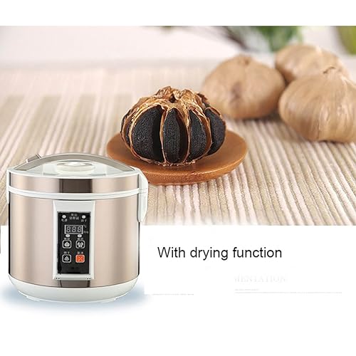 Fermenteur d'ail pour réussir facilement l'ail noir et le kimchi maison 5L - 7