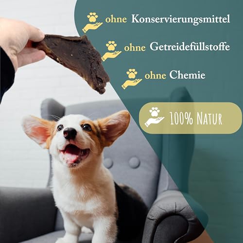 Rinderdörrfleisch für Hunde | 1 kg | Dörrfleisch Hund | 100% Rind | natürliches und getrocknetes Rindfleisch | fettarm und proteinreich | Trockenfleisch Rind von Wuffsnacks