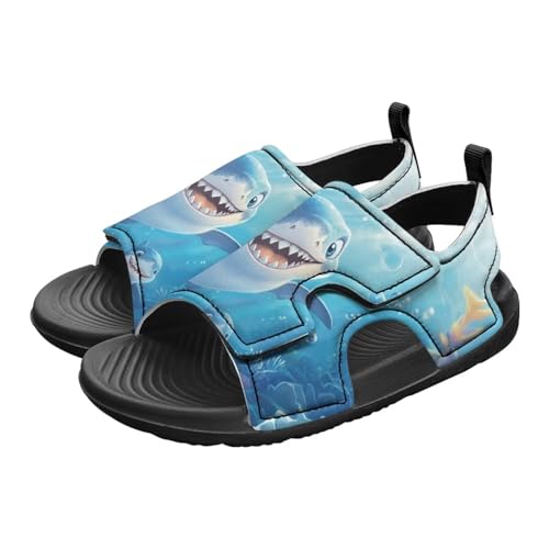 Pointodoor Boys Cartoon Shark Sandals US 12.5 Kids Sport Water Shoes Causal Summer Hiking Outdoor Sport Sandals for Toddler/Little Kid/Big Kid