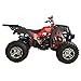 X-PRO 200 Adult ATV with Automatic Transmission w/Reverse, Big 23
