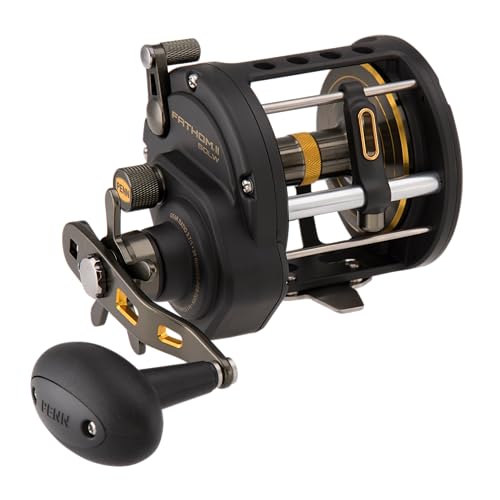 Penn Fathom II Level Wind