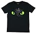 Dreamworks Dragons Kinder T-Shirt Ohnezahn Toothless (116-122, schwarz)