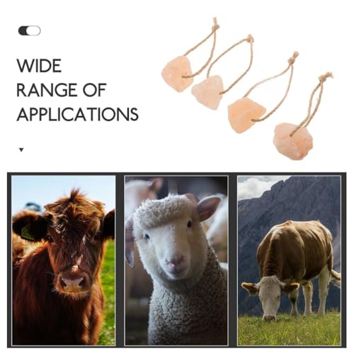 Milisten 4Pcs Cavalo Trata Sal Saudável E Veados Lamber Com Bloco De Sal Para Cavalos E Bloco Minera