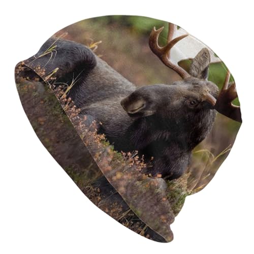 Ovbflc Casual Beanie Hat, Moose Men/Women/Teenagers/Boys/Girls Pullover Hats, Fashionable Knitted Hats Black