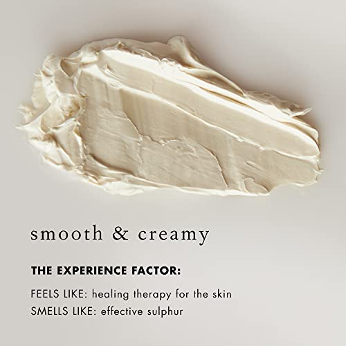 Bioelements Amino Mask - 2.5 Fl Oz - 5% Sulfur Mask With Lactic Acid To Treat Acne & Heal Skin - Vegan, Gluten Free - Never Tested On Animals #TOP2