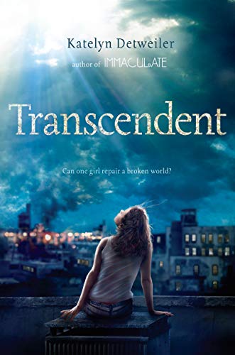 Transcendent view 2