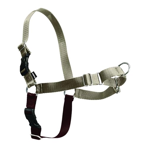 PetSafe Easy Walk Harness for Dogs - Pull-Free Walks - Patented Martingale Loop Design - Front Chest Leash Attachment - Comfort Straps - Breathable Harness Design - Large, Fawn/Brown