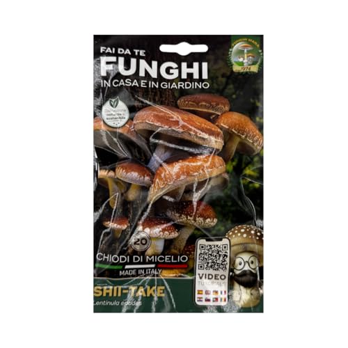 Funghi Mara Shiitake (Lentinula edodes) - 20 Chiodi di Micelio - Coltivazione Naturale - Made in Italy