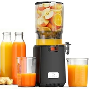 LINKChef Estrattore Frutta e Verdura – Centrifuga Frutta e Verdura con Bocca Larga 130mm, 250W Estrattore di Succo a Freddo con Tecnologia Lenta, Senza BPA, Facile da Usare e Sicuro