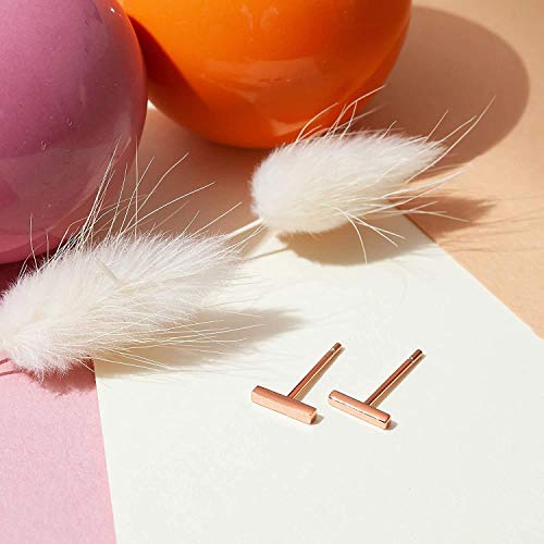 Pavoi 14K Gold Plated Mini Bar Stud Earrings - Rose #TOP2