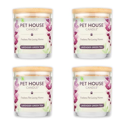 Bougies parfumées pour salon avec animaux de compagnie One Fur All