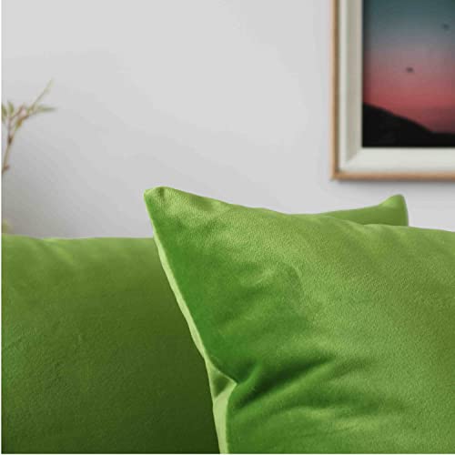 Pack Of 2 Velvet Decorative Throw Pillow Covers 18X18 Inches Soft Solid Square Green Pillow Covers For Couch Sofa Living Room Home Decor 45 X 45 Cm #TOP1