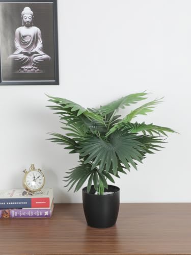 Artificial Fan Palm Plant 55 cm Tall | with Basic Black Pot | 12 Leaves | Indoor Green Plant | Big Ornamental Plant for Interior Decor/Home Decor/Office Decor | Durable