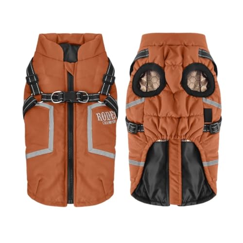 ˖hhgR[gn[lXq[NV[u[``Čp,F,2XL