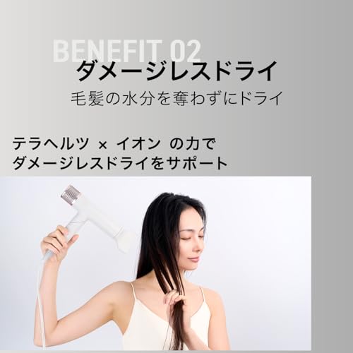 INGRACE Velena hairdryer MBD002A-K の商品画像 2
