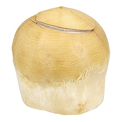 Little Farms Drinking Coconut (1 fruit)