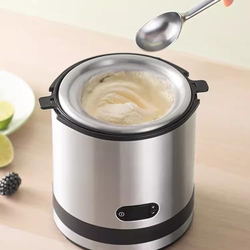 Máquina de helado pequeña y mini heladera casera para frutas y postre congelado dulce 6