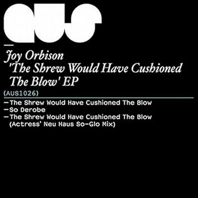 Joy Orbison - The Shrew Would Have Cushioned the Blow