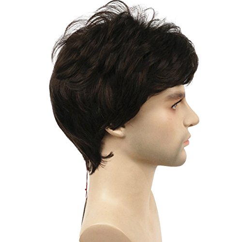 Lydell Men Wig Natural Short Straight Hair Synthetic Full Wigs (Chestnut Brown) #TOP2