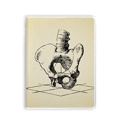 Carnet de croquis squelette humain flexible pour réussir vos dessins d'art